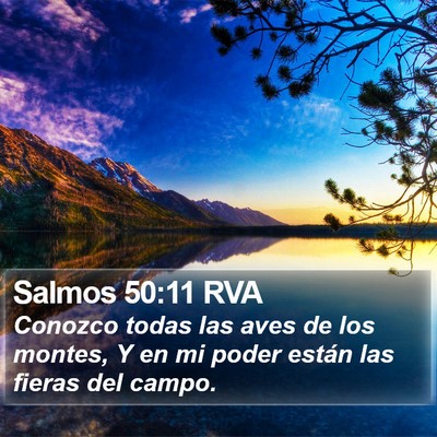 Salmos 50:11 RVA Bible Verse Image