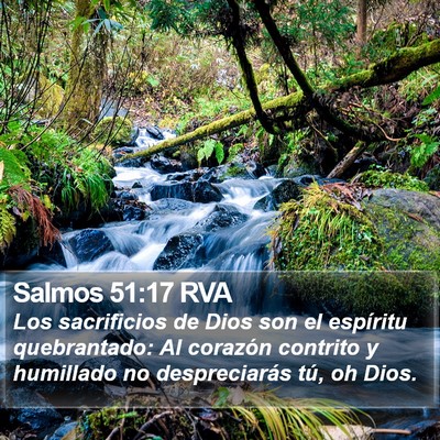 Salmos 51:17 RVA Bible Verse Image
