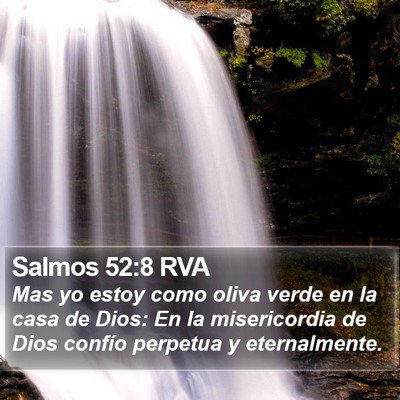 Salmos 52:8 RVA Bible Verse Image
