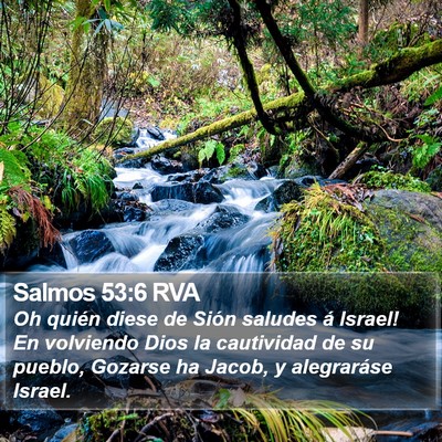 Salmos 53:6 RVA Bible Verse Image