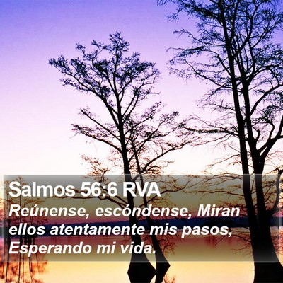 Salmos 56:6 RVA Bible Verse Image
