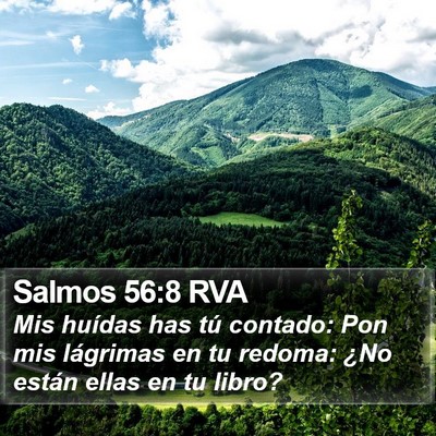 Salmos 56:8 RVA Bible Verse Image