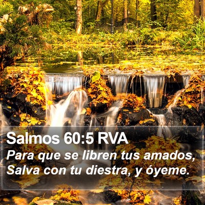 Salmos 60:5 RVA Bible Verse Image