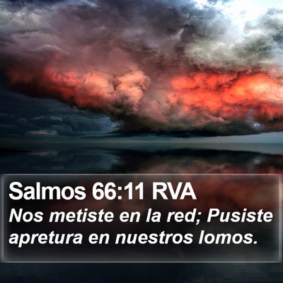 Salmos 66:11 RVA Bible Verse Image