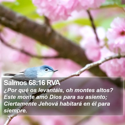 Salmos 68:16 RVA Bible Verse Image