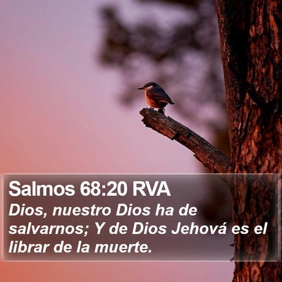 Salmos 68:20 RVA Bible Verse Image