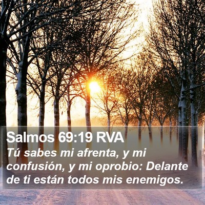 Salmos 69:19 RVA Bible Verse Image
