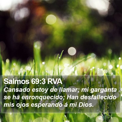 Salmos 69:3 RVA Bible Verse Image