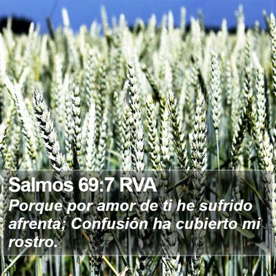 Salmos 69:7 RVA Bible Verse Image