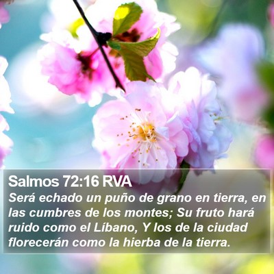 Salmos 72:16 RVA Bible Verse Image