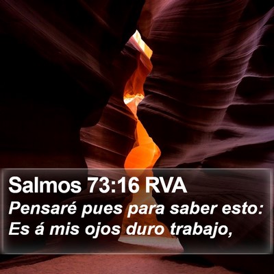 Salmos 73:16 RVA Bible Verse Image