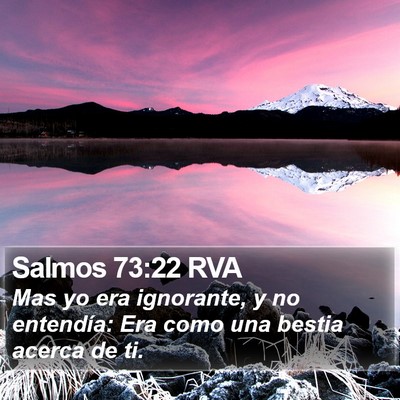 Salmos 73:22 RVA Bible Verse Image