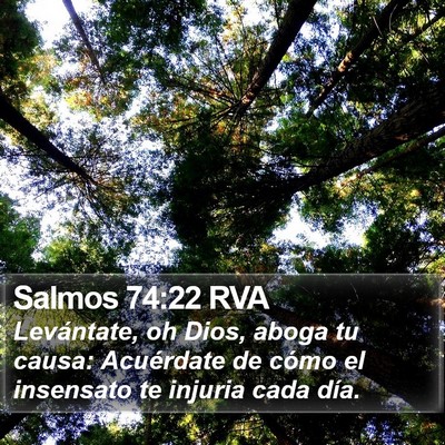 Salmos 74:22 RVA Bible Verse Image
