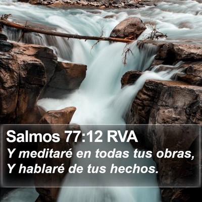 Salmos 77:12 RVA Bible Verse Image