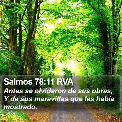 Salmos 78:11 RVA Bible Verse Image