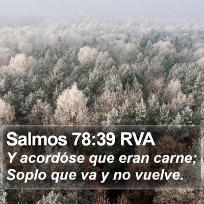 Salmos 78:39 RVA Bible Verse Image