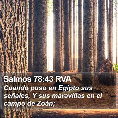 Salmos 78:43 RVA Bible Verse Image