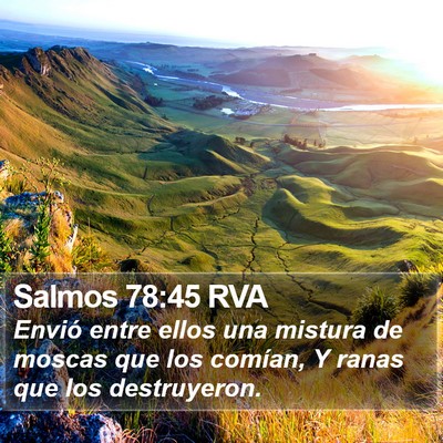 Salmos 78:45 RVA Bible Verse Image