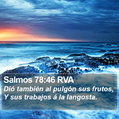 Salmos 78:46 RVA Bible Verse Image