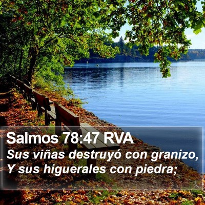 Salmos 78:47 RVA Bible Verse Image