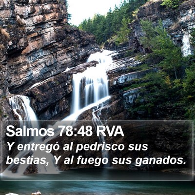 Salmos 78:48 RVA Bible Verse Image