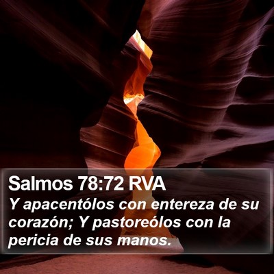 Salmos 78:72 RVA Bible Verse Image