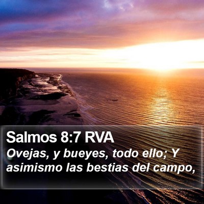 Salmos 8:7 RVA Bible Verse Image