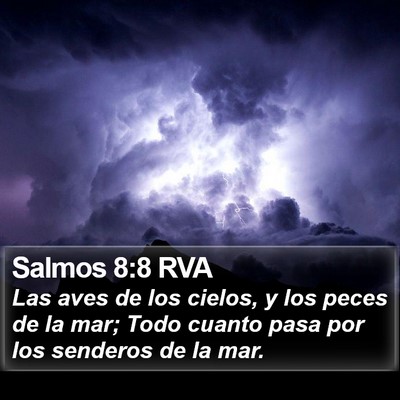 Salmos 8:8 RVA Bible Verse Image