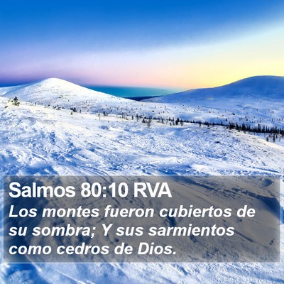 Salmos 80:10 RVA Bible Verse Image