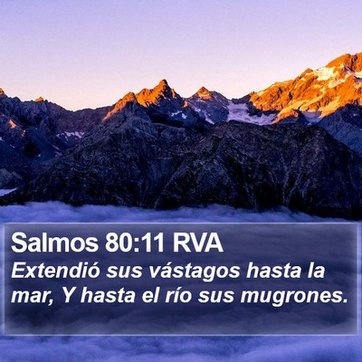 Salmos 80:11 RVA Bible Verse Image