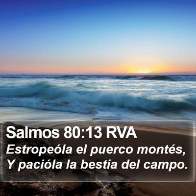 Salmos 80:13 RVA Bible Verse Image