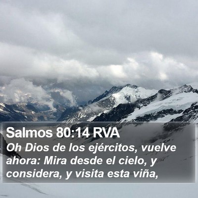 Salmos 80:14 RVA Bible Verse Image