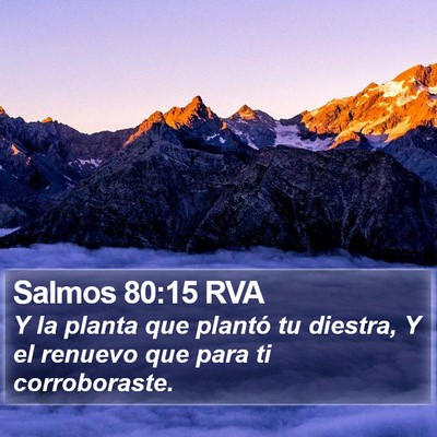 Salmos 80:15 RVA Bible Verse Image