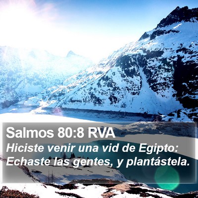 Salmos 80:8 RVA Bible Verse Image