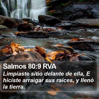 Salmos 80:9 RVA Bible Verse Image