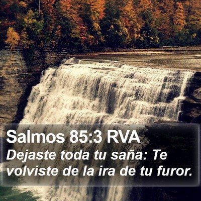Salmos 85:3 RVA Bible Verse Image