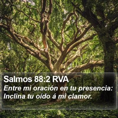 Salmos 88:2 RVA Bible Verse Image