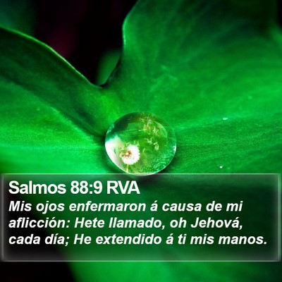 Salmos 88:9 RVA Bible Verse Image