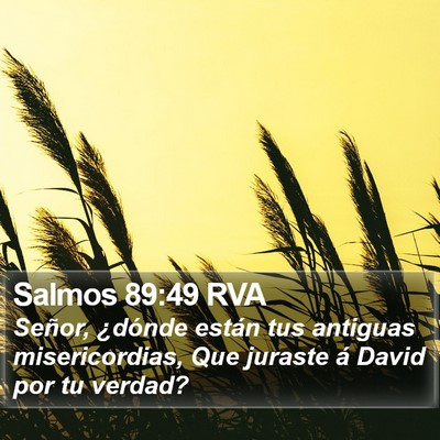 Salmos 89:49 RVA Bible Verse Image