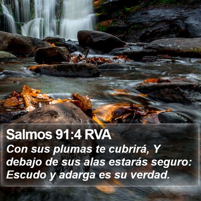 Salmos 91:4 RVA Bible Verse Image