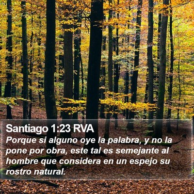 Santiago 1:23 RVA Bible Verse Image