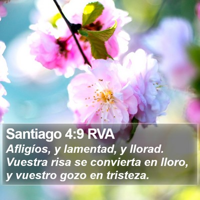 Santiago 4:9 RVA Bible Verse Image