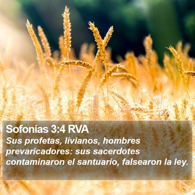Sofonías 3:4 RVA Bible Verse Image