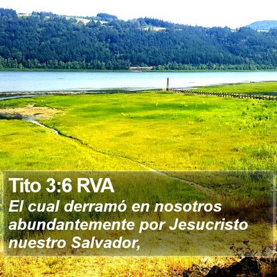 Tito 3:6 RVA Bible Verse Image