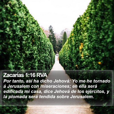 Zacarías 1:16 RVA Bible Verse Image