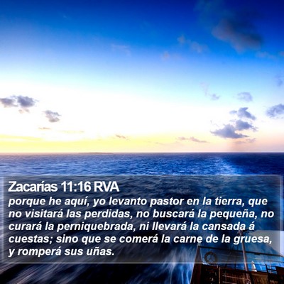 Zacarías 11:16 RVA Bible Verse Image