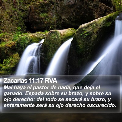 Zacarías 11:17 RVA Bible Verse Image