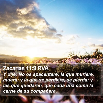 Zacarías 11:9 RVA Bible Verse Image