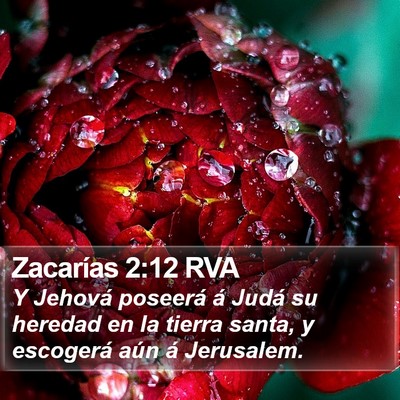 Zacarías 2:12 RVA Bible Verse Image