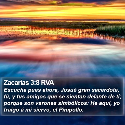 Zacarías 3:8 RVA Bible Verse Image